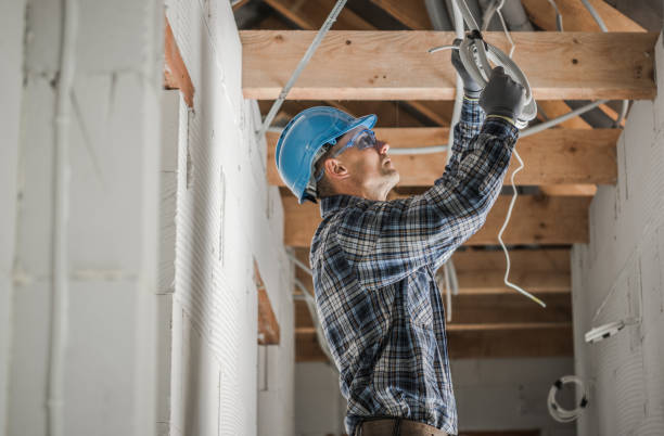 Best Electrical Repair Services  in Trenton, IL